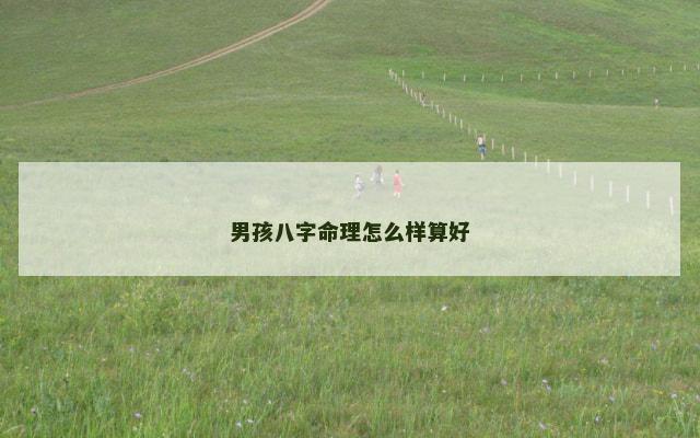 男孩八字命理怎么样算好