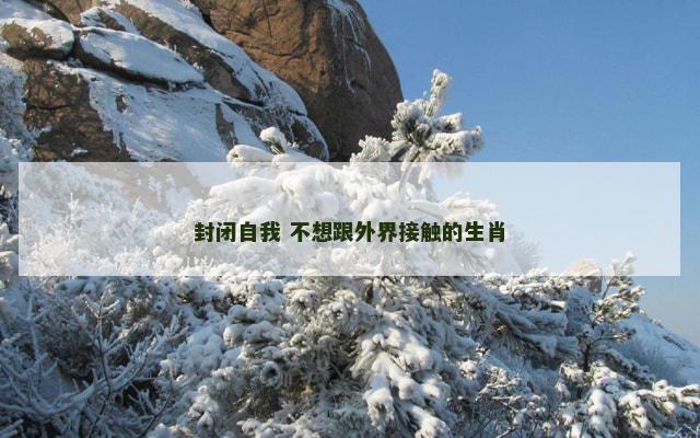 封闭自我 不想跟外界接触的生肖