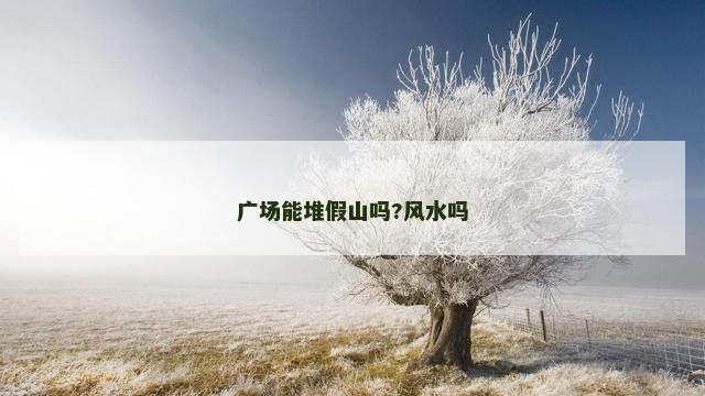 广场能堆假山吗?风水吗