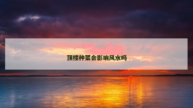 顶楼种菜会影响风水吗