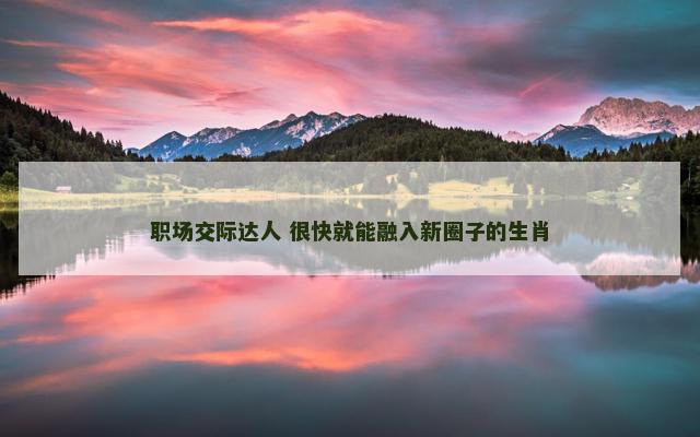 职场交际达人 很快就能融入新圈子的生肖