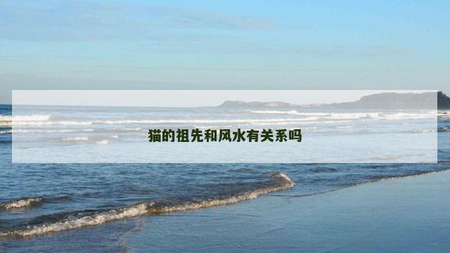 猫的祖先和风水有关系吗