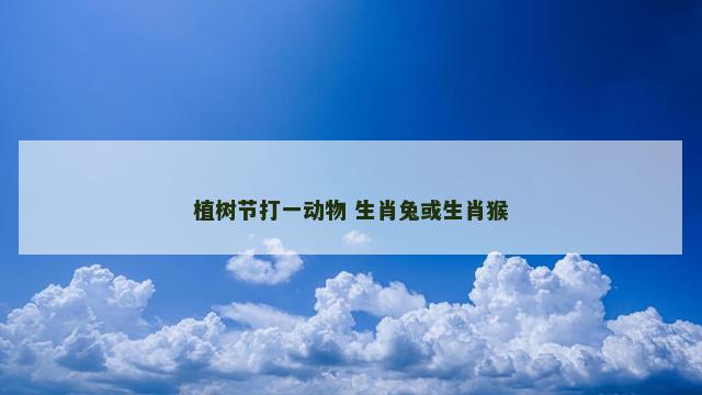 植树节打一动物 生肖兔或生肖猴