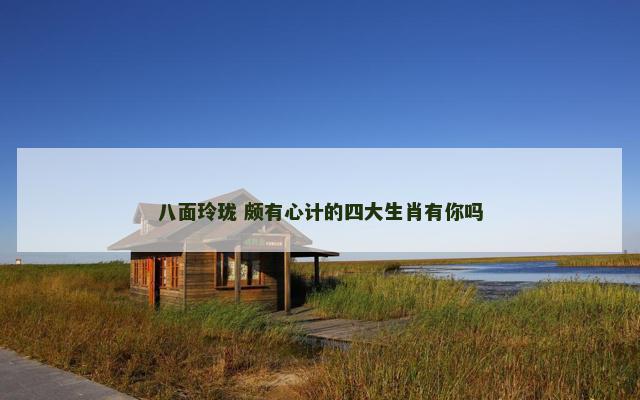 八面玲珑 颇有心计的四大生肖有你吗