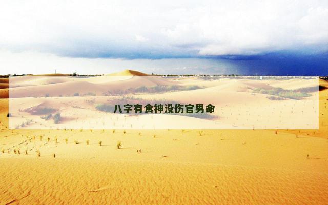 八字有食神没伤官男命