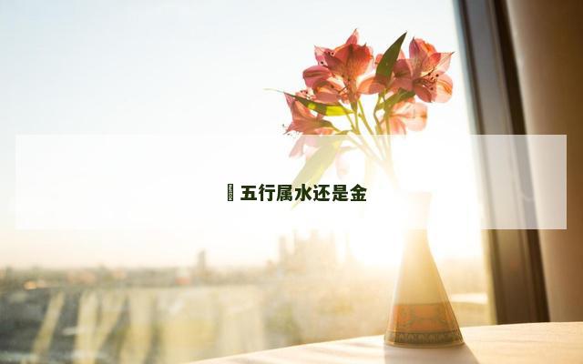 瀞五行属水还是金