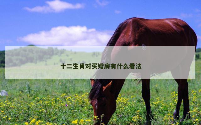 十二生肖对买婚房有什么看法