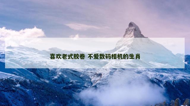 喜欢老式胶卷 不爱数码相机的生肖