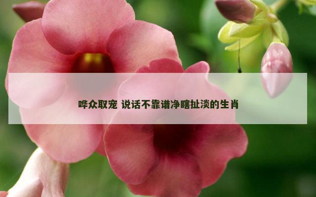 哗众取宠 说话不靠谱净瞎扯淡的生肖