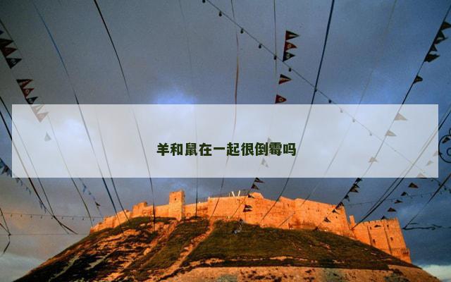 羊和鼠在一起很倒霉吗