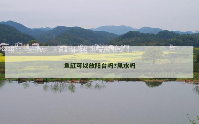 鱼缸可以放阳台吗?风水吗