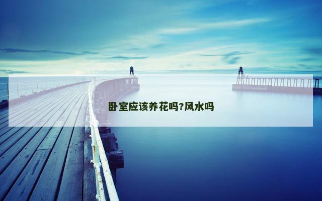卧室应该养花吗?风水吗