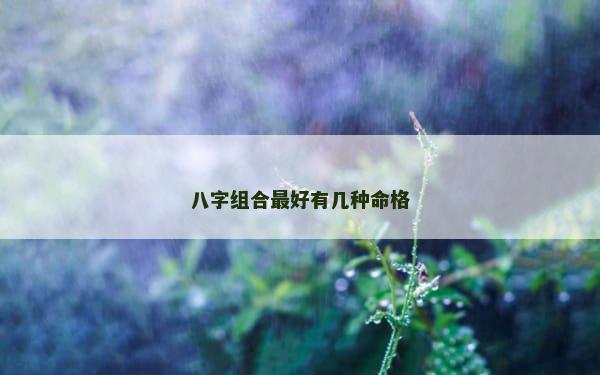 八字组合最好有几种命格