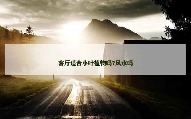 客厅适合小叶植物吗?风水吗