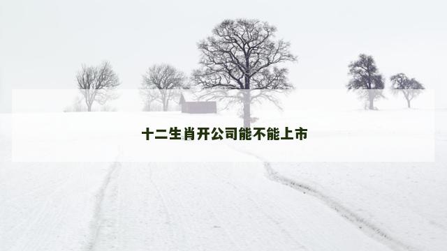 十二生肖开公司能不能上市