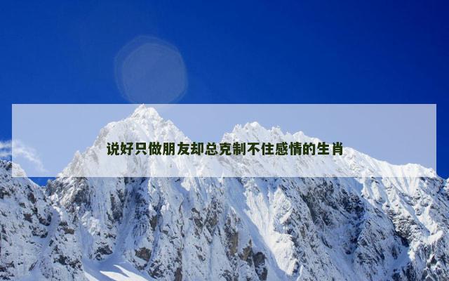 说好只做朋友却总克制不住感情的生肖