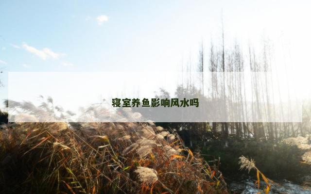 寝室养鱼影响风水吗