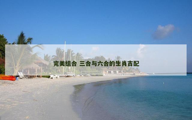 完美组合 三合与六合的生肖吉配