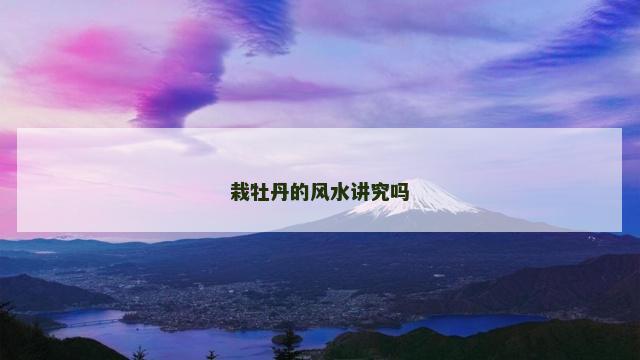 栽牡丹的风水讲究吗