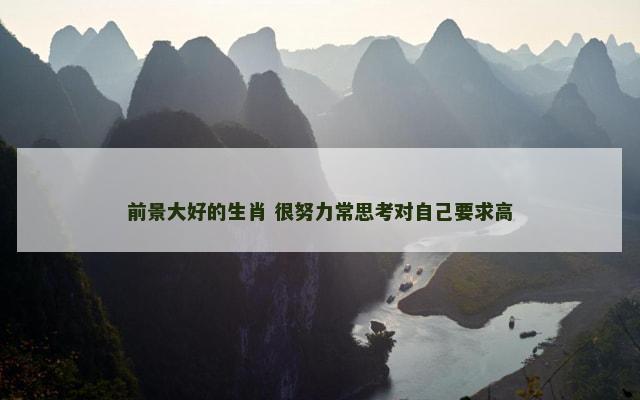 前景大好的生肖 很努力常思考对自己要求高
