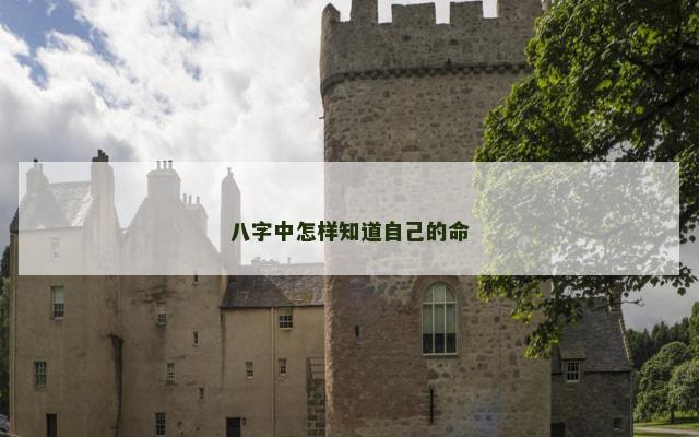 八字中怎样知道自己的命