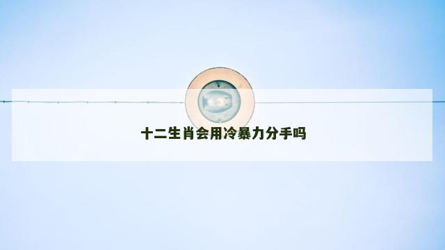 十二生肖会用冷暴力分手吗