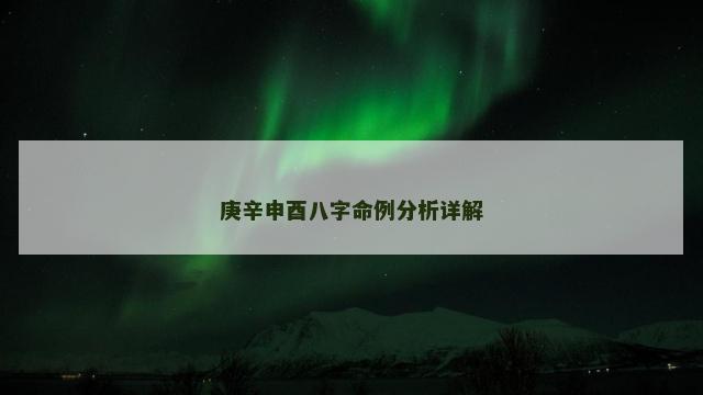 庚辛申酉八字命例分析详解
