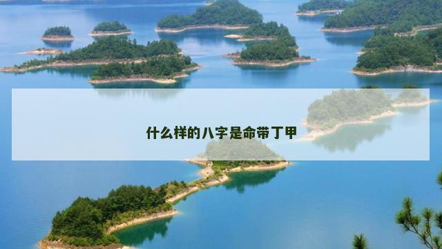 什么样的八字是命带丁甲