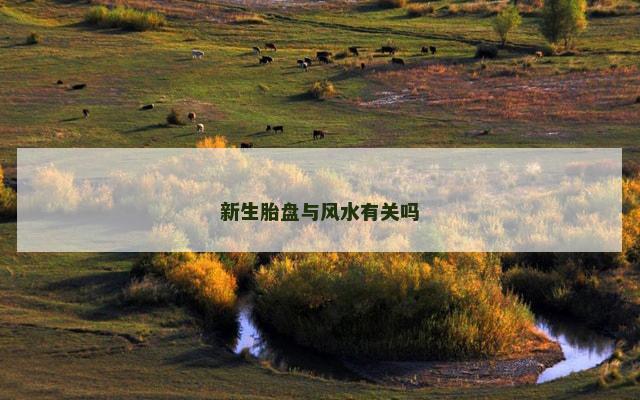 新生胎盘与风水有关吗