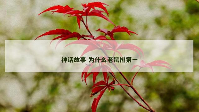 神话故事 为什么老鼠排第一