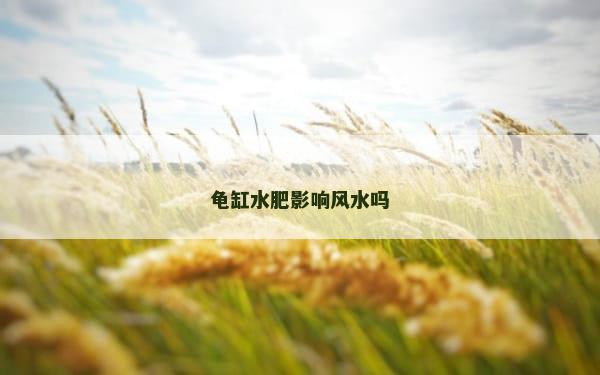 龟缸水肥影响风水吗