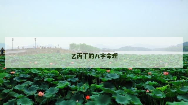 乙丙丁的八字命理