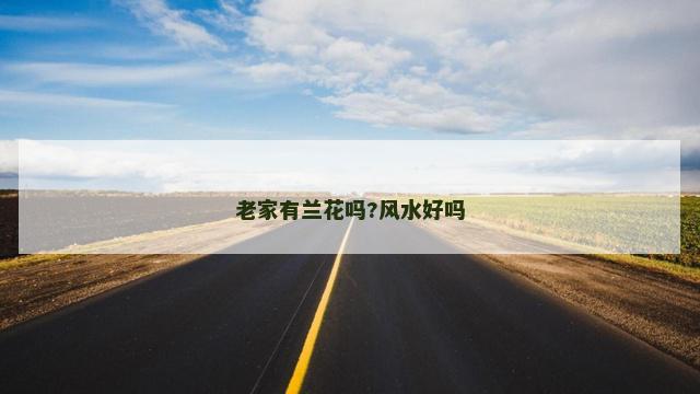 老家有兰花吗?风水好吗