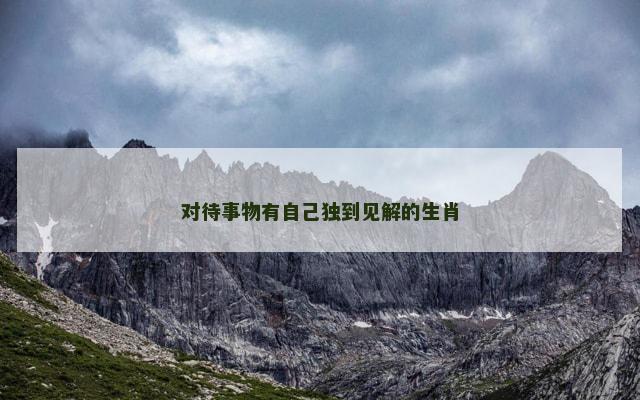 对待事物有自己独到见解的生肖