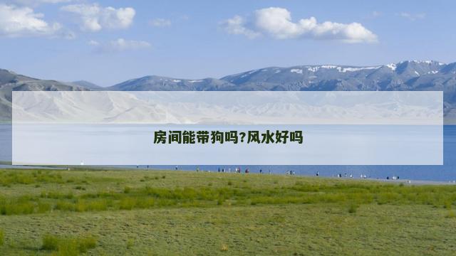 房间能带狗吗?风水好吗