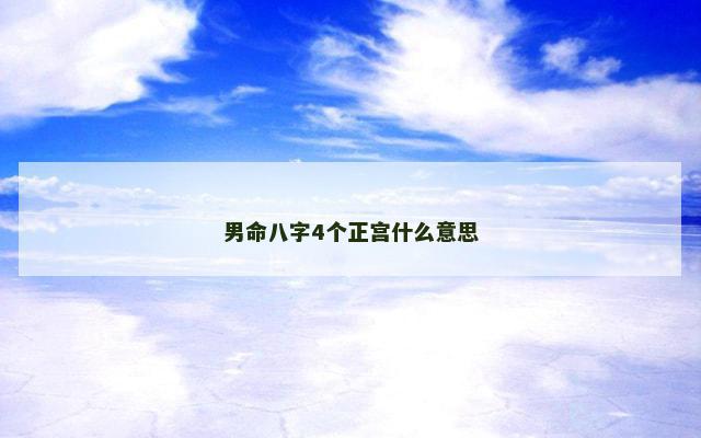 男命八字4个正宫什么意思