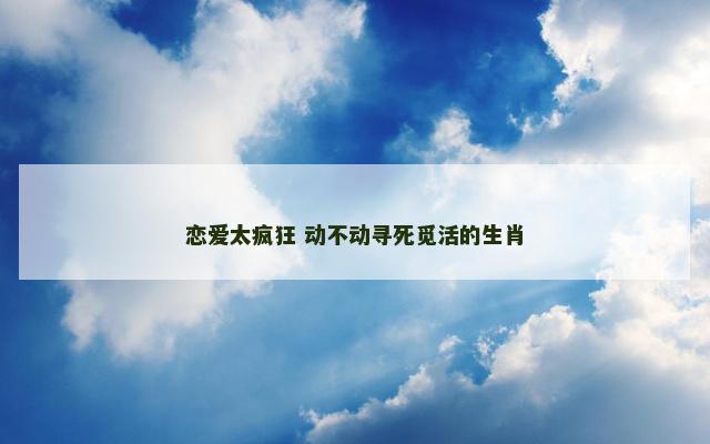 恋爱太疯狂 动不动寻死觅活的生肖