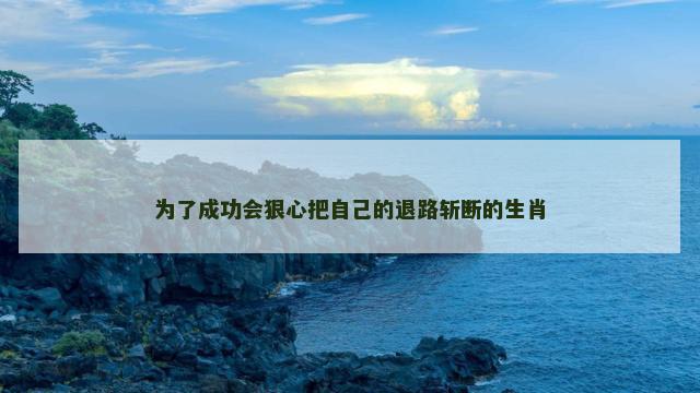 为了成功会狠心把自己的退路斩断的生肖