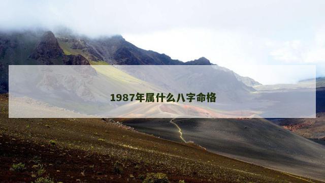 1987年属什么八字命格