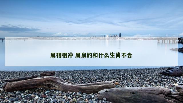属相相冲 属鼠的和什么生肖不合