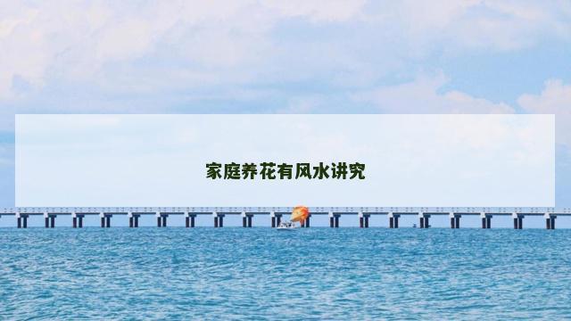 家庭养花有风水讲究