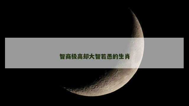 智商极高却大智若愚的生肖