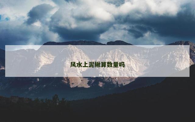 风水上泥鳅算数量吗