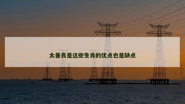 太善良是这些生肖的优点也是缺点