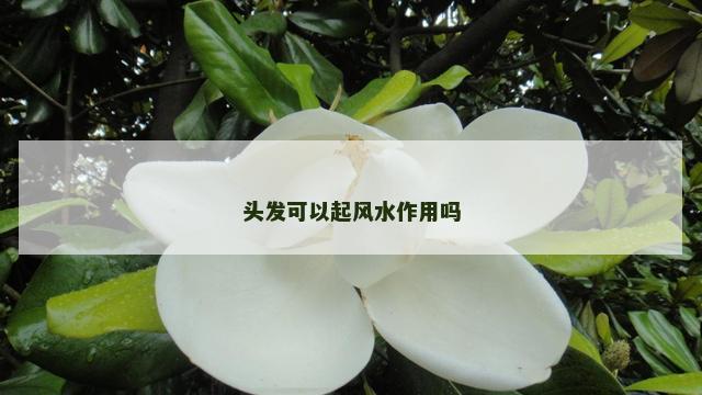 头发可以起风水作用吗