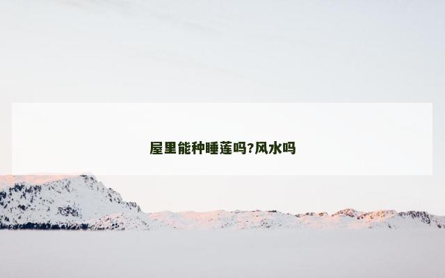屋里能种睡莲吗?风水吗