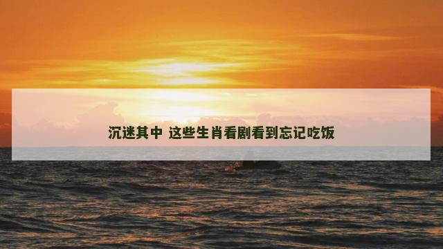 沉迷其中 这些生肖看剧看到忘记吃饭