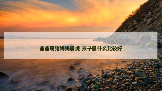 爸爸属猪妈妈属虎 孩子属什么比较好