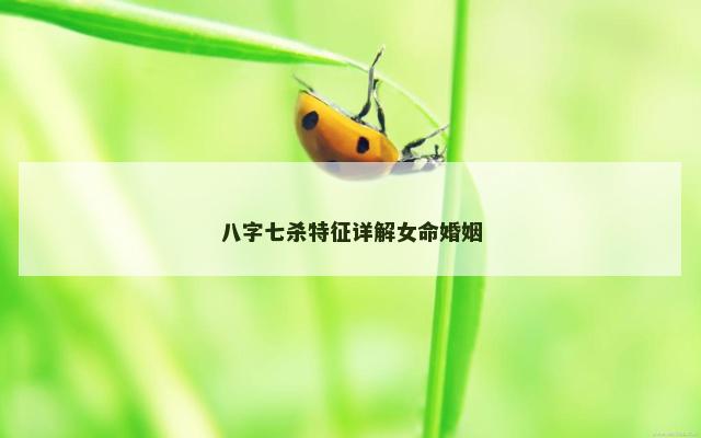 八字七杀特征详解女命婚姻