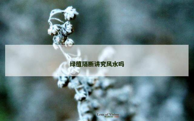 绿植隔断讲究风水吗
